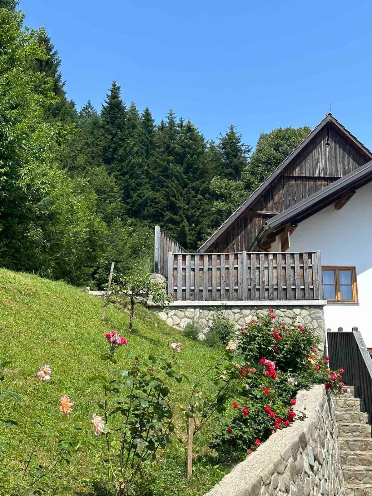 Rose Garden Apartment Ljubno Exterior photo